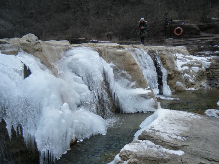 dscf2847.jpg