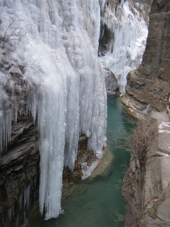 dscf2862.jpg