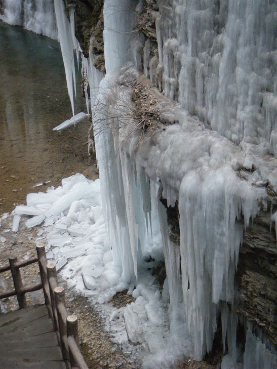 dscf2865.jpg