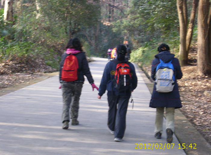 dsci1530.jpg