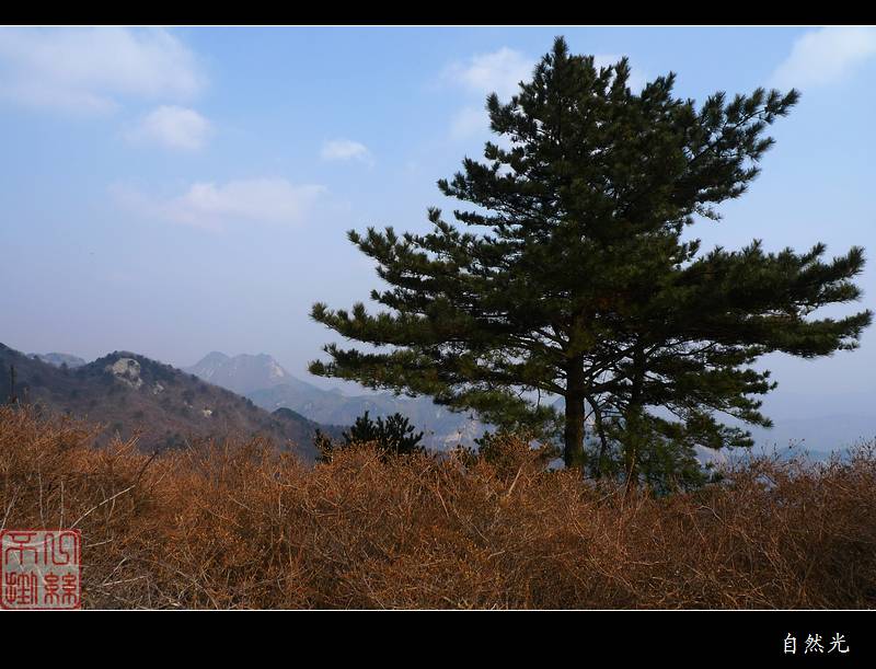 l1300526.jpg
