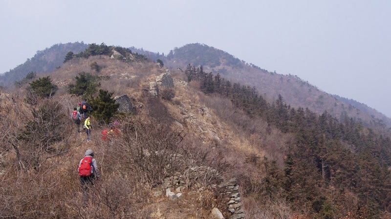 dsc09740.jpg