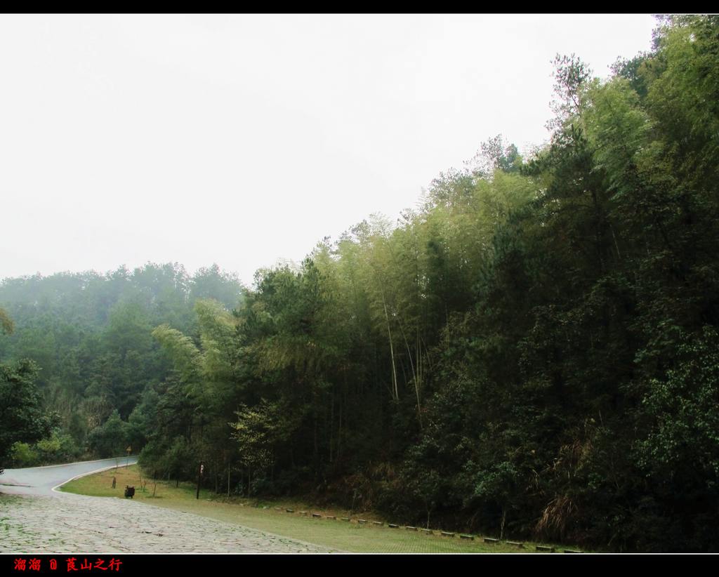 Ƭ 008.jpg
