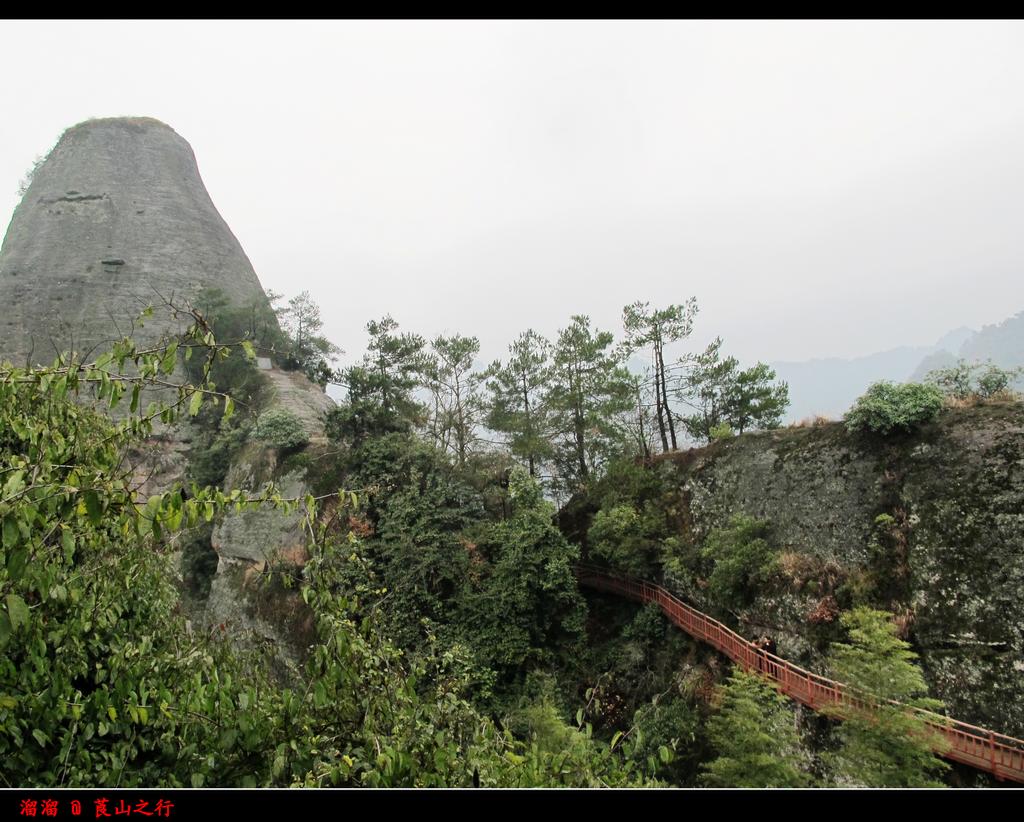 Ƭ 042.jpg