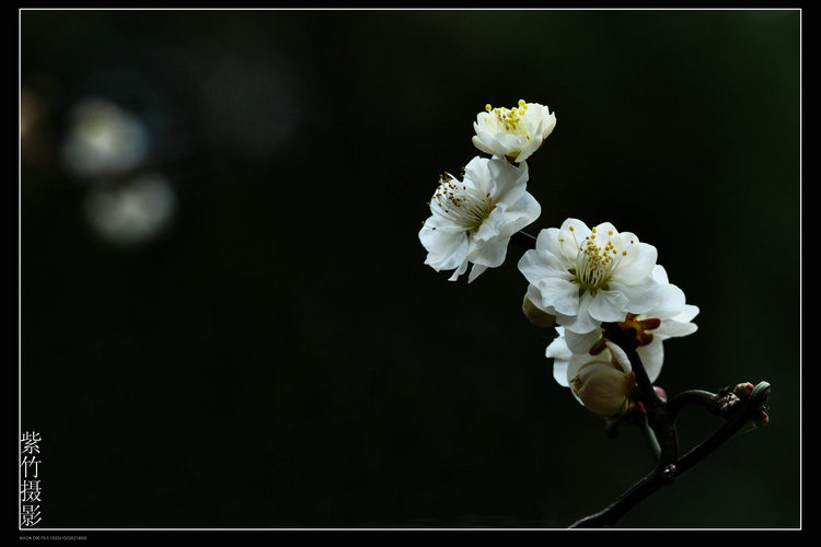 dsc_1188.jpg