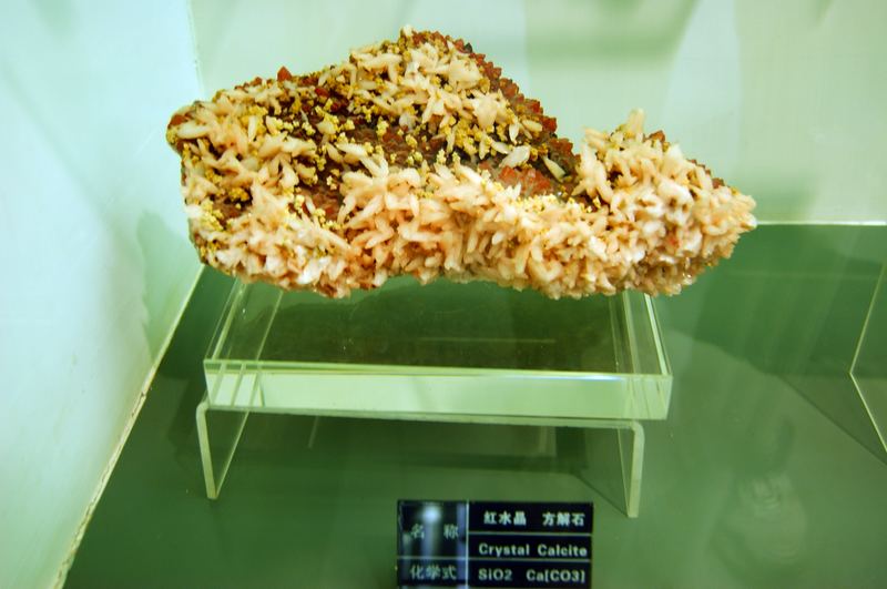 dsc05796.jpg