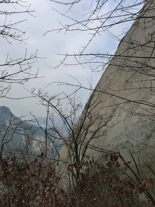 p1190455.jpg