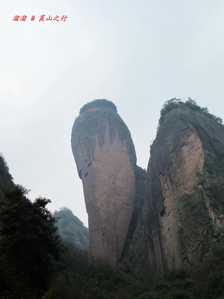 Ƭ 110.jpg