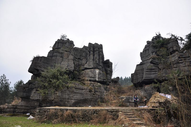 dsc_0406.jpg