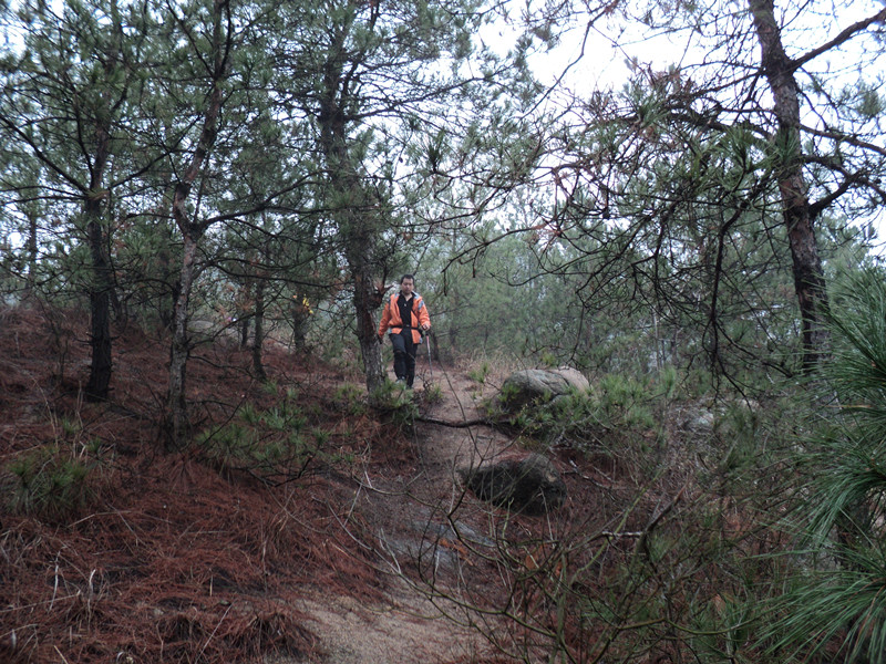dsc07581_.jpg