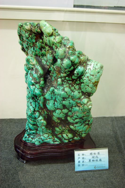 dsc05781.jpg