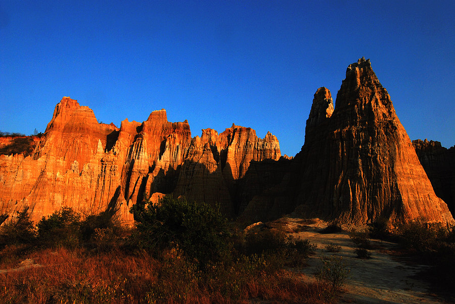 dsc_0926.jpg