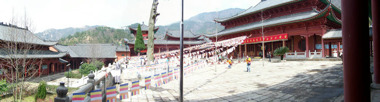 100_8951.jpg