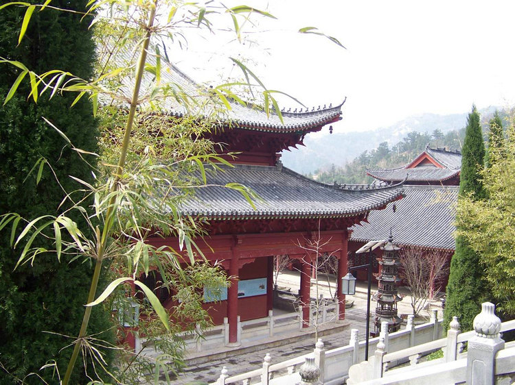 100_8987.jpg