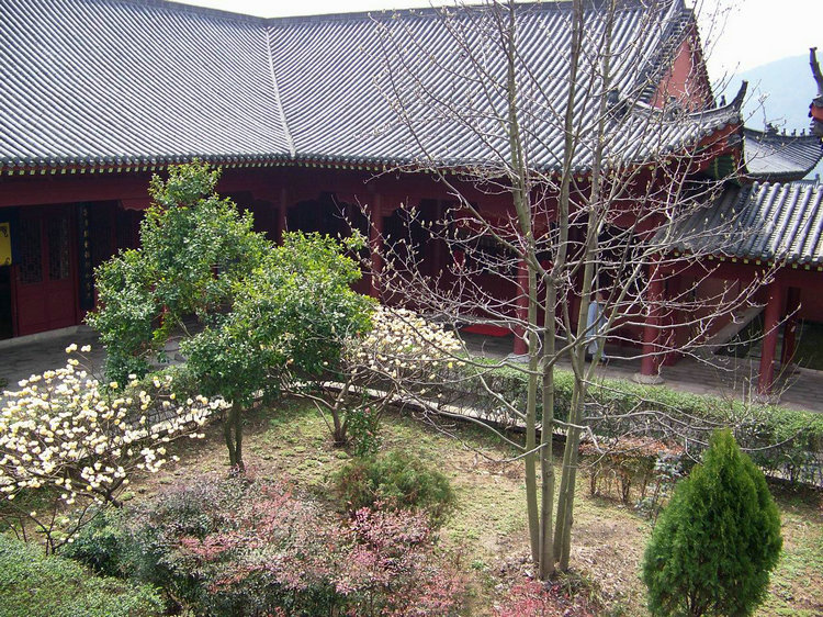 100_8999.jpg