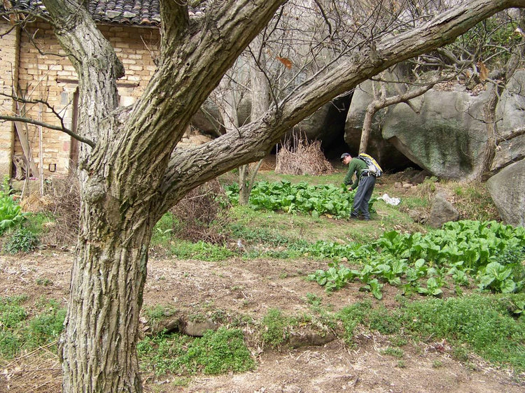 100_9062.jpg