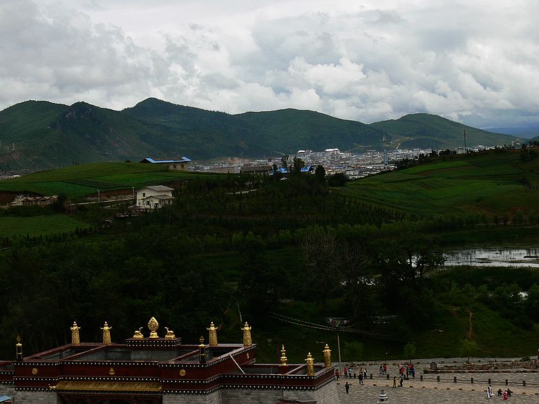 p1160174.jpg