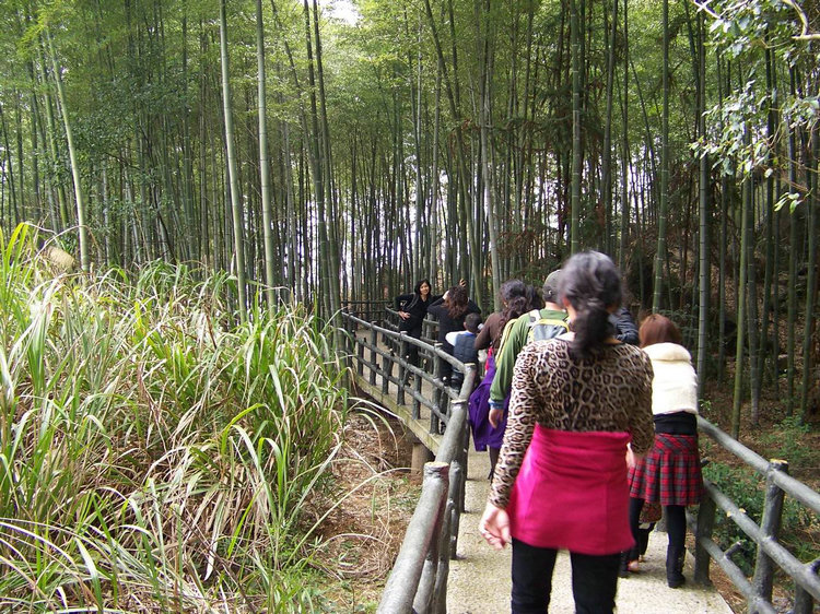 100_9070.jpg
