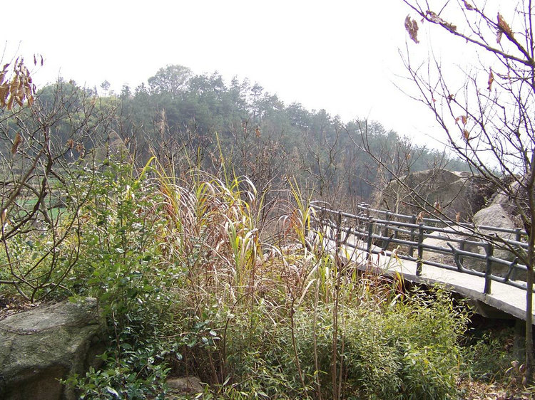 100_9068.jpg
