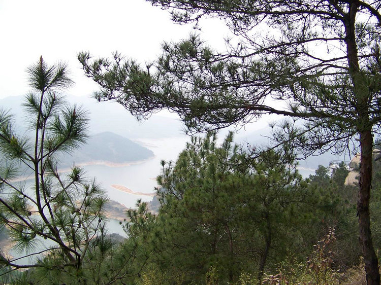100_9073.jpg