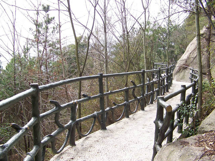 100_9081.jpg
