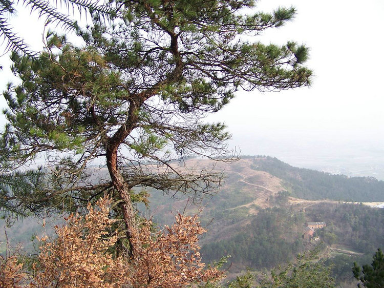 100_9098.jpg