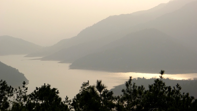 p1050017.jpg
