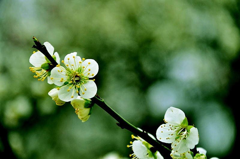 csc_0028_.jpg