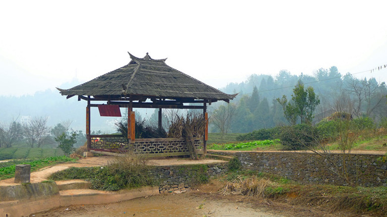 p1040600_.jpg