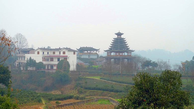 p1040604_.jpg