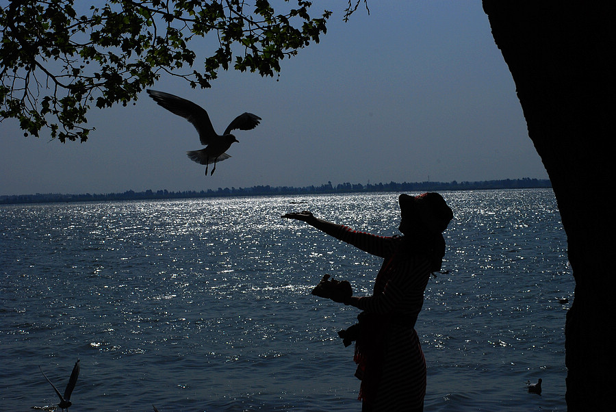 dsc_0831.jpg