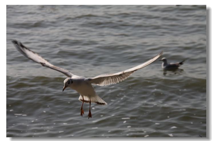 img_8863.jpg