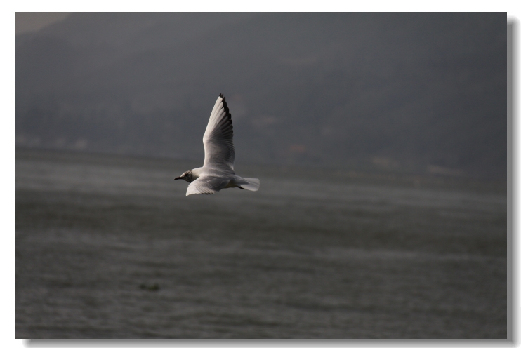 img_8892.jpg