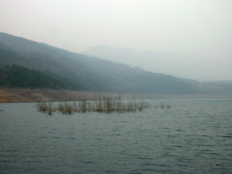 dscn4542_.jpg