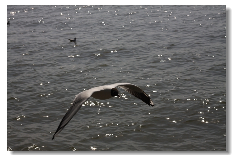 img_8980.jpg
