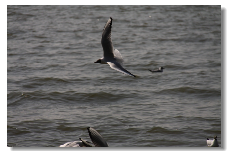 img_8959.jpg