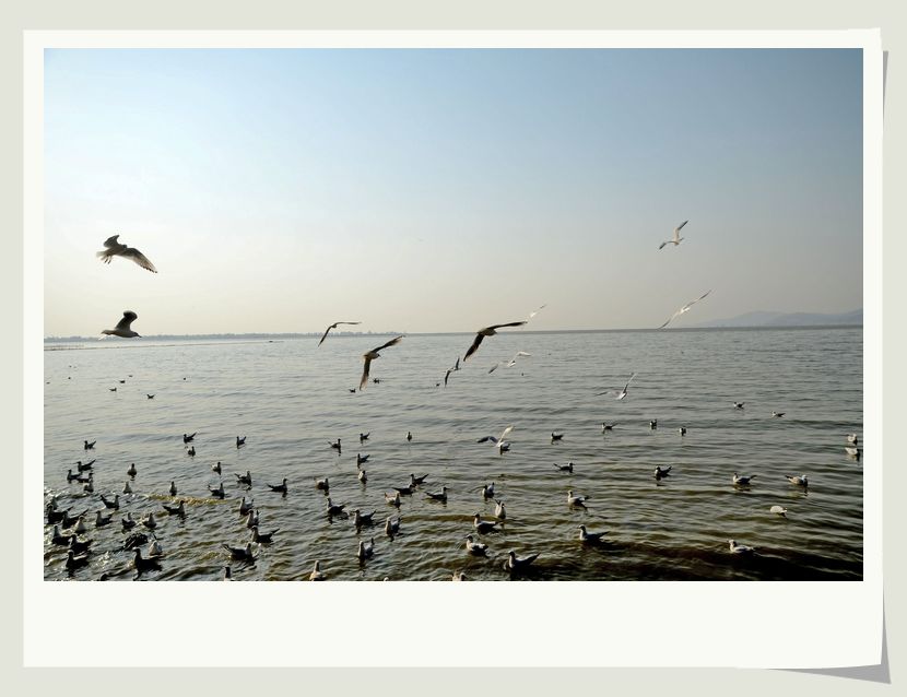 neo_img_dsc_1092.jpg