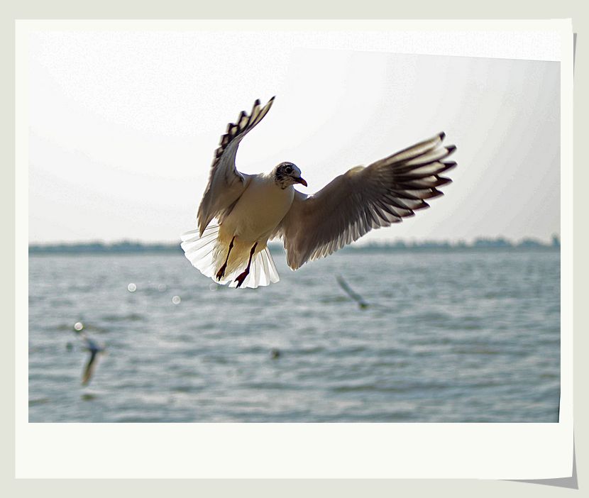 neo_img_dsc_1200.jpg