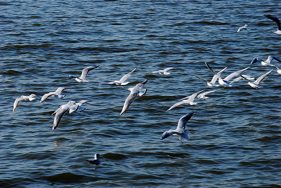 dsc_0241.jpg