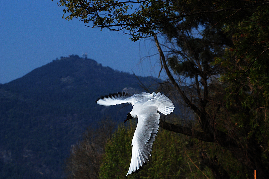 dsc_0279.jpg