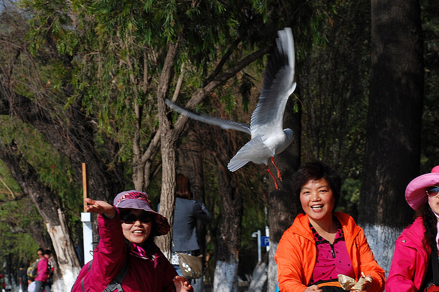 dsc_0273.jpg