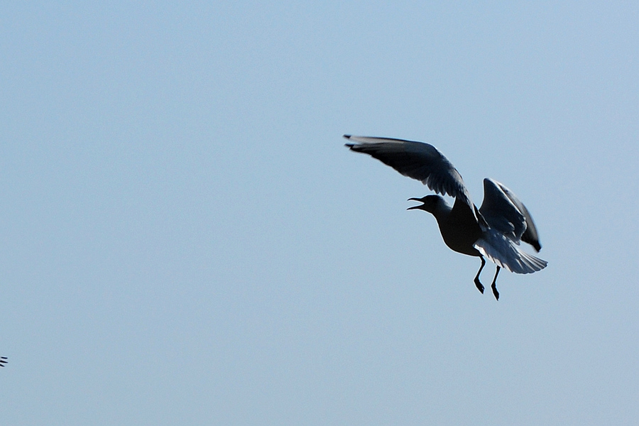 dsc_0357.jpg