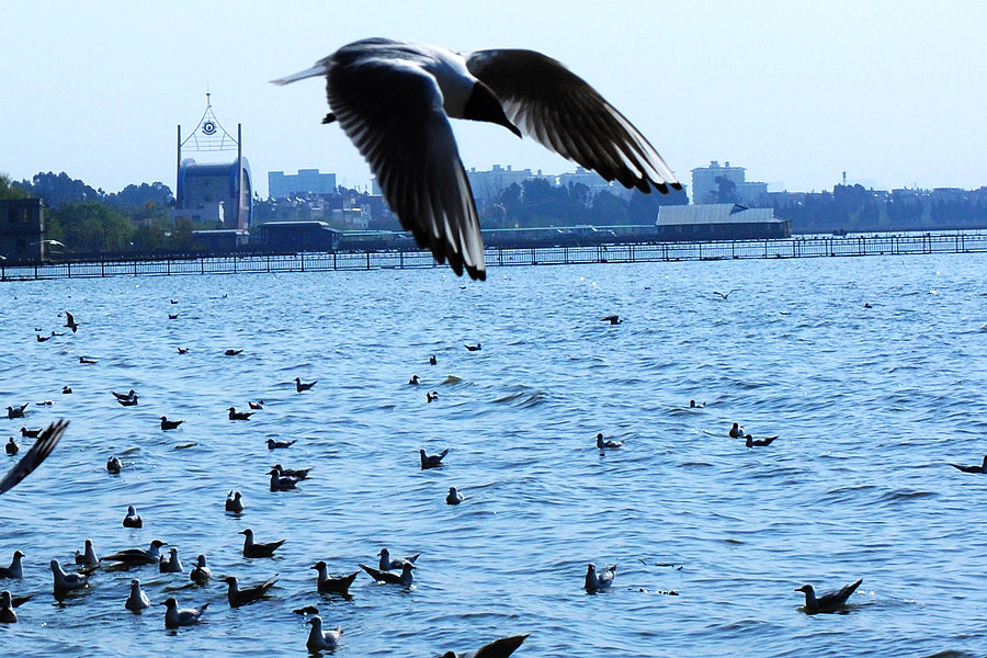 dsc_0368.jpg