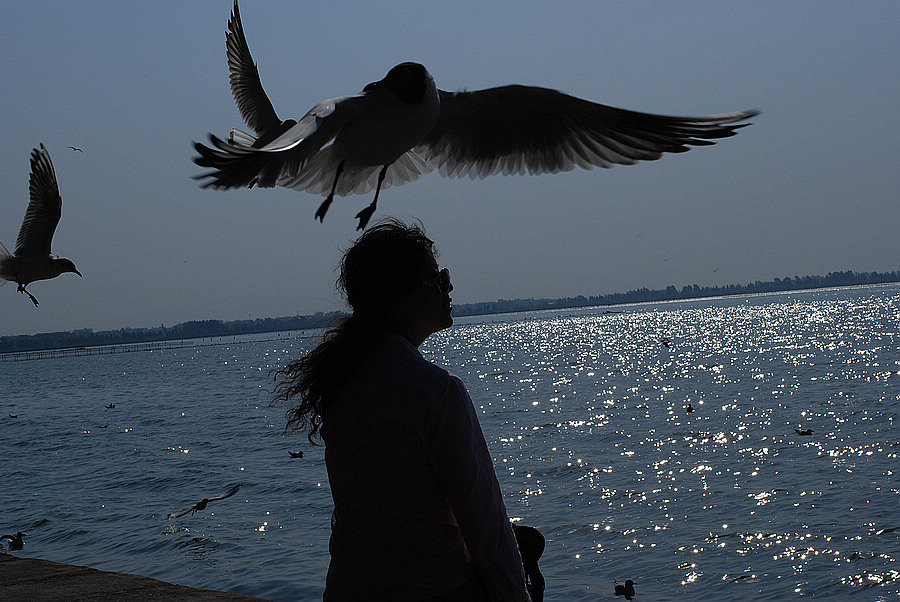 dsc_0392.jpg