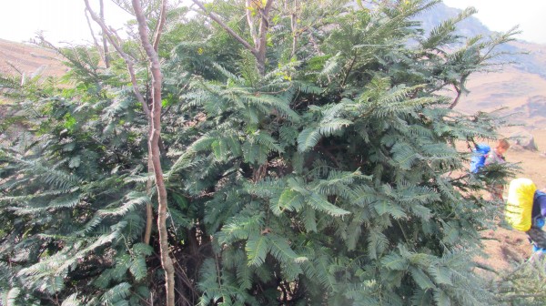 conew_img_4147.jpg