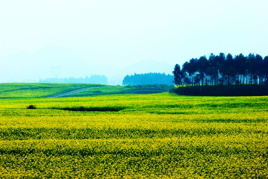 dsc_0126.jpg