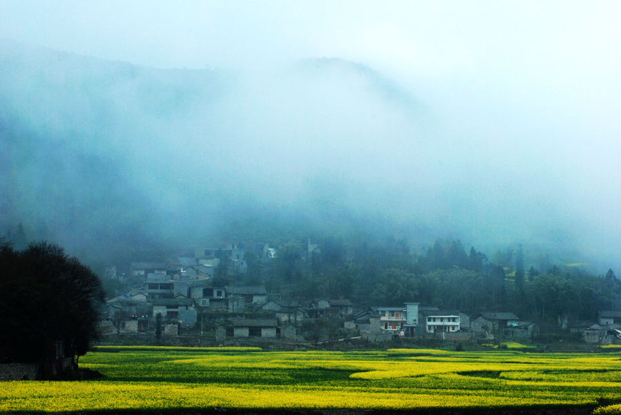 dsc_0679.jpg