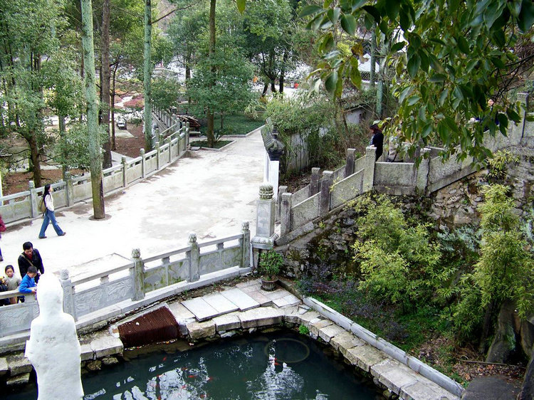 100_9125.jpg