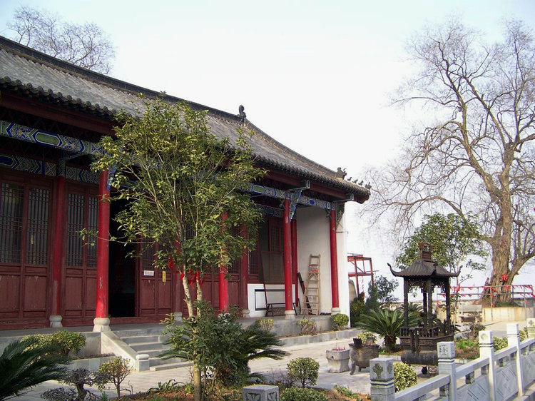 100_9165.jpg