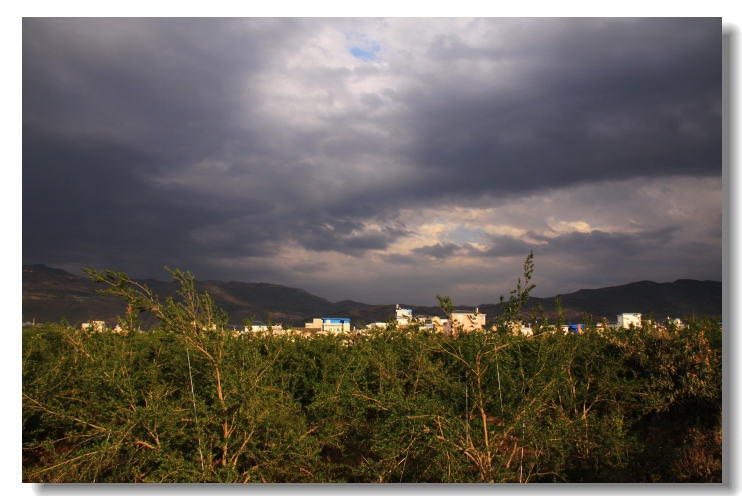 img_9687.jpg